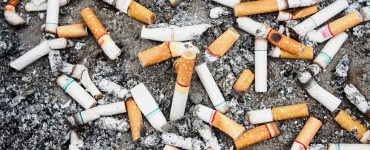 megot cigarette